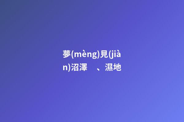 夢(mèng)見(jiàn)沼澤、濕地